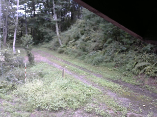 長野県菅平高原 ゆたか山荘 東側(坂下) 2025/09/15 13:15