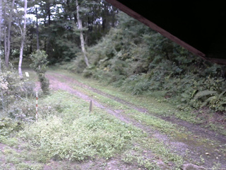長野県菅平高原 ゆたか山荘 東側(坂下) 2025/09/15 13:30