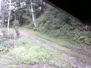 長野県菅平高原 ゆたか山荘 東側(坂下) 2025/09/15 15:00
