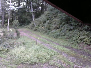 長野県菅平高原 ゆたか山荘 東側(坂下) 2025/09/15 17:00