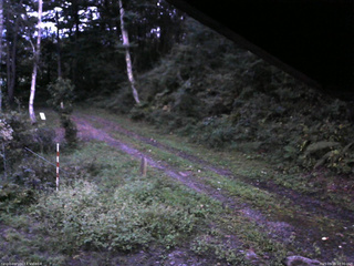 長野県菅平高原 ゆたか山荘 東側(坂下) 2025/09/15 18:00