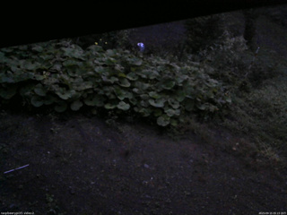 長野県菅平高原 ゆたか山荘 駐車場 2025/09/15 05:15