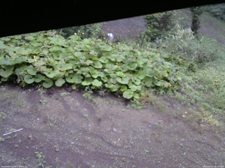 長野県菅平高原 ゆたか山荘 駐車場 2025/09/15 06:15