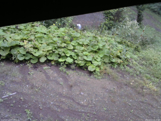 長野県菅平高原 ゆたか山荘 駐車場 2025/09/15 06:45
