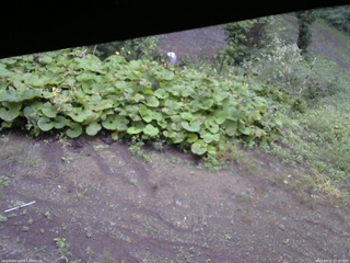 長野県菅平高原 ゆたか山荘 駐車場 2025/09/15 07:00