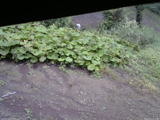 長野県菅平高原 ゆたか山荘 駐車場 2025/09/15 07:15