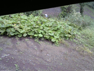 長野県菅平高原 ゆたか山荘 駐車場 2025/09/15 07:30