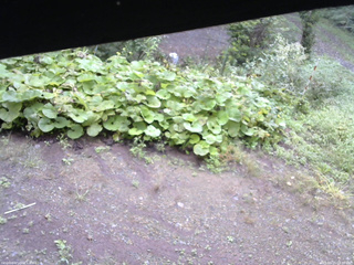 長野県菅平高原 ゆたか山荘 駐車場 2025/09/15 08:00