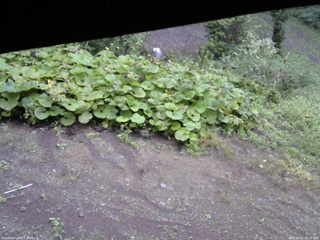 長野県菅平高原 ゆたか山荘 駐車場 2025/09/15 08:15