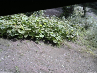 長野県菅平高原 ゆたか山荘 駐車場 2025/09/15 09:15