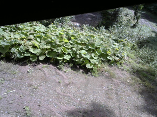 長野県菅平高原 ゆたか山荘 駐車場 2025/09/15 09:30
