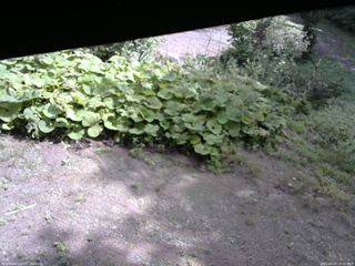 長野県菅平高原 ゆたか山荘 駐車場 2025/09/15 10:45