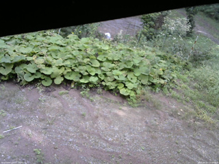長野県菅平高原 ゆたか山荘 駐車場 2025/09/15 13:00
