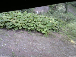 長野県菅平高原 ゆたか山荘 駐車場 2025/09/15 14:00