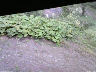 長野県菅平高原 ゆたか山荘 駐車場 2025/09/15 14:30