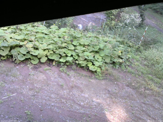 長野県菅平高原 ゆたか山荘 駐車場 2025/09/15 14:45
