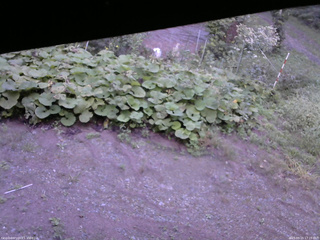 長野県菅平高原 ゆたか山荘 駐車場 2025/09/15 17:15