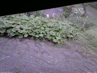 長野県菅平高原 ゆたか山荘 駐車場 2025/09/15 17:45