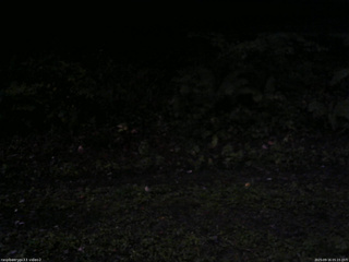 長野県菅平高原 ゆたか山荘 南側 2025/09/16 05:15