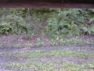 長野県菅平高原 ゆたか山荘 南側 2025/09/16 14:15