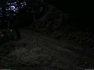 長野県菅平高原 ゆたか山荘 東側(坂下) 2025/09/16 05:15