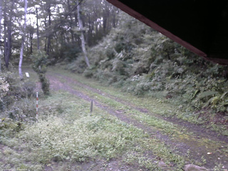 長野県菅平高原 ゆたか山荘 東側(坂下) 2025/09/16 06:15