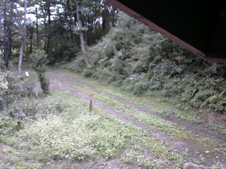 長野県菅平高原 ゆたか山荘 東側(坂下) 2025/09/16 08:45