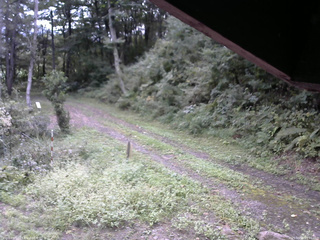 長野県菅平高原 ゆたか山荘 東側(坂下) 2025/09/16 09:00
