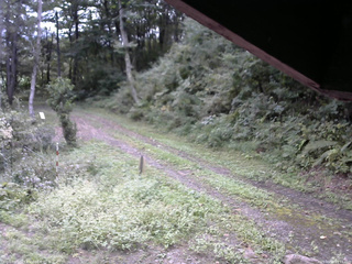 長野県菅平高原 ゆたか山荘 東側(坂下) 2025/09/16 09:15