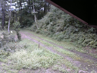 長野県菅平高原 ゆたか山荘 東側(坂下) 2025/09/16 09:30