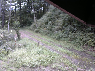 長野県菅平高原 ゆたか山荘 東側(坂下) 2025/09/16 09:45