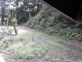 長野県菅平高原 ゆたか山荘 東側(坂下) 2025/09/16 10:00