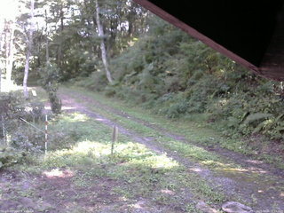 長野県菅平高原 ゆたか山荘 東側(坂下) 2025/09/16 13:15