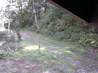 長野県菅平高原 ゆたか山荘 東側(坂下) 2025/09/16 13:30