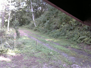 長野県菅平高原 ゆたか山荘 東側(坂下) 2025/09/16 14:15