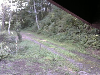 長野県菅平高原 ゆたか山荘 東側(坂下) 2025/09/16 14:30