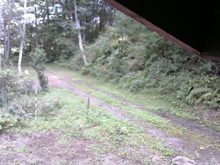 長野県菅平高原 ゆたか山荘 東側(坂下) 2025/09/16 15:00