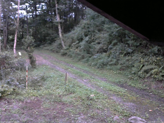 長野県菅平高原 ゆたか山荘 東側(坂下) 2025/09/16 17:45