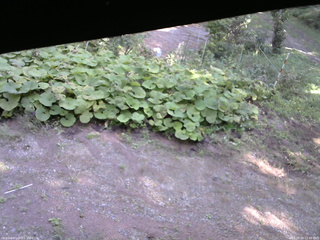 長野県菅平高原 ゆたか山荘 駐車場 2025/09/16 12:45