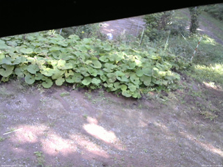長野県菅平高原 ゆたか山荘 駐車場 2025/09/16 13:15