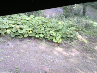 長野県菅平高原 ゆたか山荘 駐車場 2025/09/16 13:45