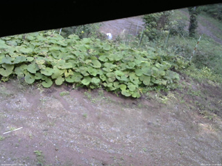長野県菅平高原 ゆたか山荘 駐車場 2025/09/16 14:00
