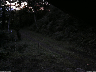 長野県菅平高原 ゆたか山荘 東側(坂下) 2025/09/17 05:15