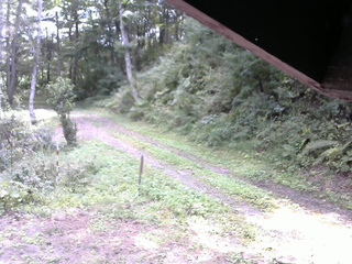 長野県菅平高原 ゆたか山荘 東側(坂下) 2025/09/17 11:30