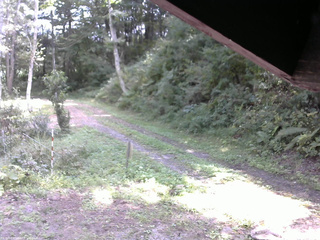 長野県菅平高原 ゆたか山荘 東側(坂下) 2025/09/17 11:45