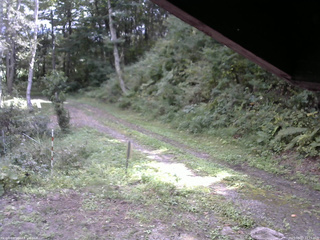長野県菅平高原 ゆたか山荘 東側(坂下) 2025/09/17 12:15