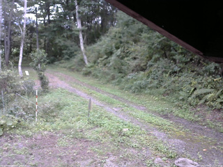 長野県菅平高原 ゆたか山荘 東側(坂下) 2025/09/17 12:45