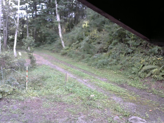 長野県菅平高原 ゆたか山荘 東側(坂下) 2025/09/17 15:45