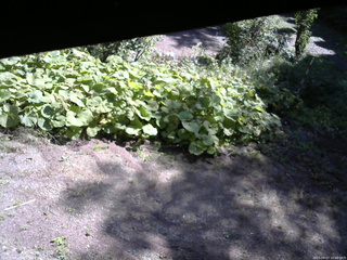 長野県菅平高原 ゆたか山荘 駐車場 2025/09/17 10:00