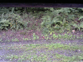 長野県菅平高原 ゆたか山荘 南側 2025/09/18 05:45